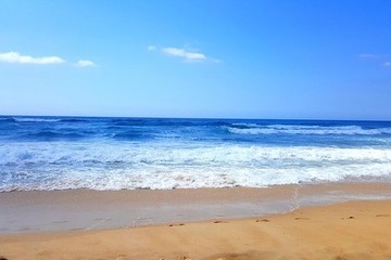 成田発 ジェットスター航空 ブリスベン直行便利用 ゴールドコースト4日間【受託手荷物20KG・機内食・コンフォートパック付きプラン】